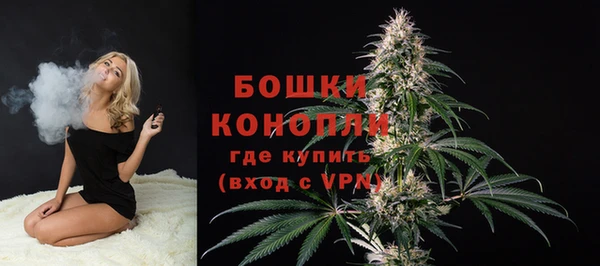 тгк Белокуриха