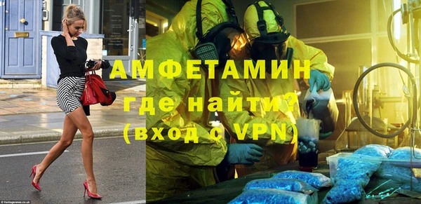 прущие грибы Баксан