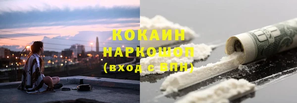 прущие грибы Баксан