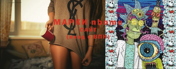 прущие грибы Баксан