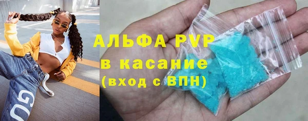 прущие грибы Баксан
