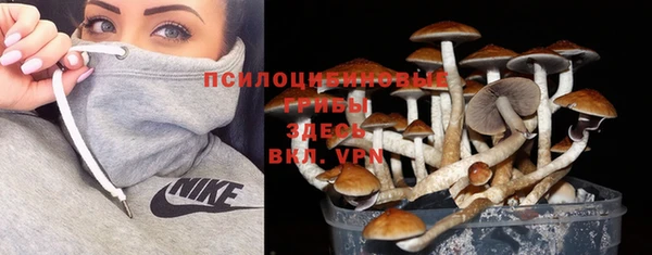 прущие грибы Баксан