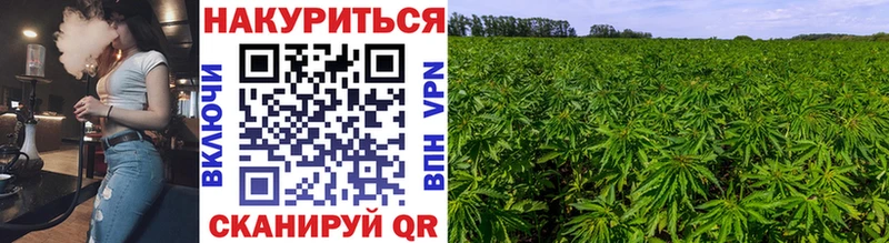 Шишки марихуана тримм  Купить где  Славск 